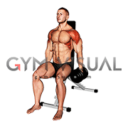 Dumbbell Seated Alternating Lateral Raise