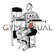 Lever Torso Rotation (male)