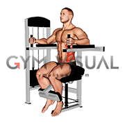 Lever Torso Rotation (male)