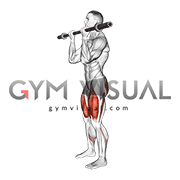 Barbell Core Squat (male)