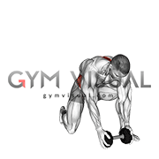 Dumbbell Half Kneeling Thor Lift (male)