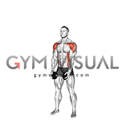 Dumbbell Standing Cross Clean (male)