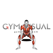 Weighted Plate Side-up Squat