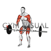 Barbell High Pull (male)