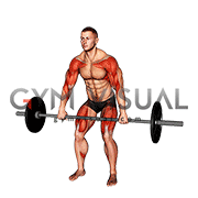 Barbell High Pull (male)