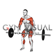Barbell Hang Clean High Pull (male)