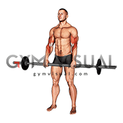 Barbell Fat Bar Reverse Curl (male)