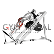 Sled Reverse Hack Squat