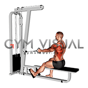 Cable Seated Single Arm Lats Focused Row