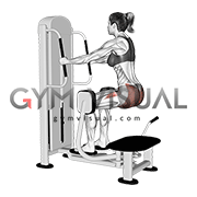 Lever Isometric Squat Hip Abduction (female)