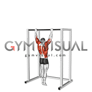 Bodyweight Muscle-Up (VERSION 2)