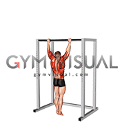 Bodyweight Muscle-Up (VERSION 2)