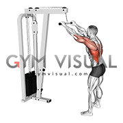 Cable Straight Arm Pulldown