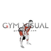 Kettlebell Double Snatch
