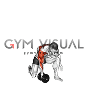 Dumbbell Half Kneeling Single Arm Clean Press (male)