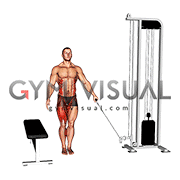 Cable Lateral Step-up (male)