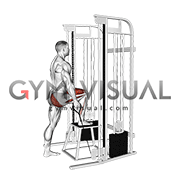 Cable Unilateral Step-Up (male)