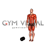 Burpee Over the Dumbbell (male)