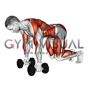 Dumbbell Bear Plank Alternating Row