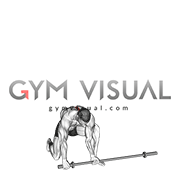 Barbell Half Kneeling Thor Lift (male)