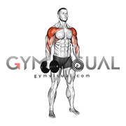 Dumbbell Shoulders Complex