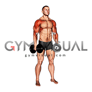 Dumbbell Shoulders Complex