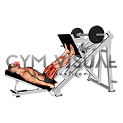 Sled Alternating Single Leg Negative Press
