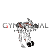 Dumbbell Cross Romanian Deadlift (male)