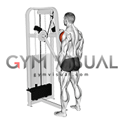 Lever Standing Lateral Raise (male)
