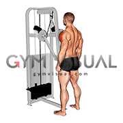Lever Standing Lateral Raise (male)