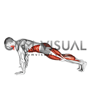 Plank Jump In Squat (male)