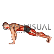Plank Jump In Squat (male)