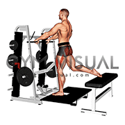 Lever Belt Bulgarian Split Squat