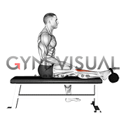 Kettlebell Sitting Tibialis Press