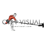 Power Sled Pull (male)