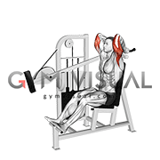 Lever Overhead Triceps Extension (male)