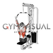 Cable Neutral Grip Wide Pulldown (VERSION 3)