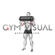Weighted Sandbag Military Press (male)