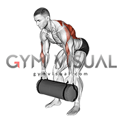 Weighted Sandbag Row (male)
