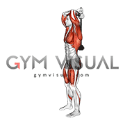 Weighted Steel Mace Squat (male)