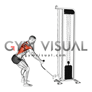 Cable Single Arm Low Row with Rope Attachment