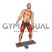 Balance Board (VERSION 2)