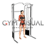 Cable Horizontal Pallof Press (female)