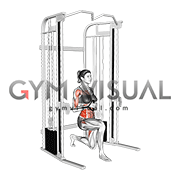Cable Half Kneeling Pallof Press (female)