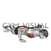 Explosive Push Up