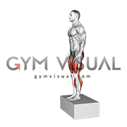Box Jump Drop 2 Foot Land (male)