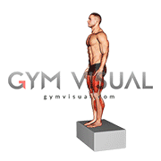 Box Jump Drop 2 Foot Land (male)