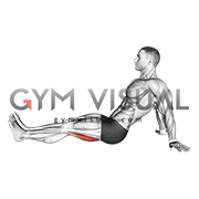 Seated Single Leg Knee Flexion (male)