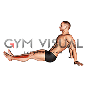 Seated Single Leg Tibialis Press (male)