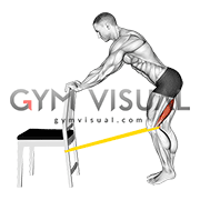 Resistance Band Standing Single Leg Knee Extension (male)
